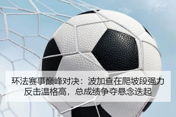 环法赛事巅峰对决：波加查在爬坡段强力反击温格高，总成绩争夺悬念迭起