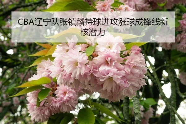 liao-ning-dui-zhang-zhen-lin-chi-qiu-jin-gong-zhang-qiu-cheng-feng-xian-xin-he-qian-li-3-684.jpg