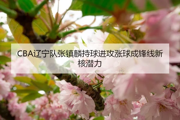 CBA辽宁队张镇麟持球进攻涨球成锋线新核潜力