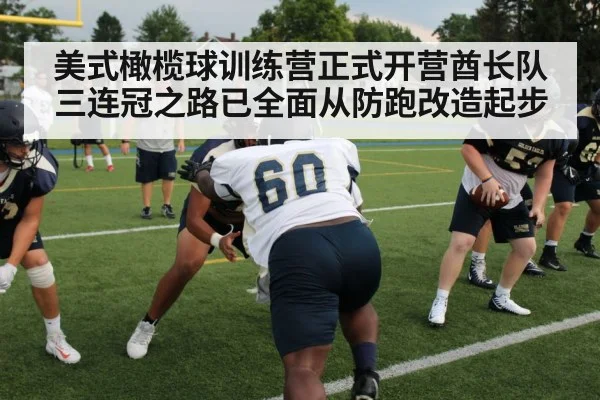 NFL defensive line