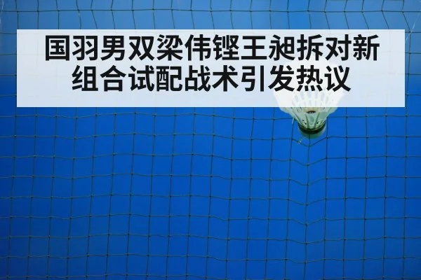 badminton training court